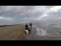 Beach canter with mud on the camera in Catalonia