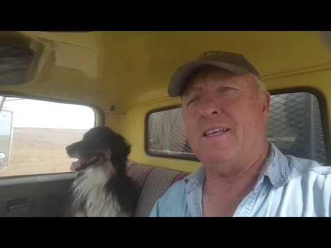 download lagu mp3 mp4 Tanks A Lot Water Tanks, download lagu Tanks A Lot Water Tanks gratis, unduh video klip Tanks A Lot Water Tanks