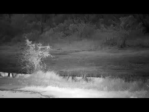 Djuma: Sights and sounds - 17:56 - 08/08/21