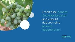 LalVigne PROHYDRO - Reduzieren Sie Sonnenbrand- und Dehydrationsschäden in Weinbergen