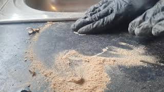 Album cover: Worktop Repairs
