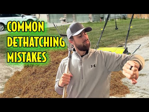 DO NOT Make These Dethatching Mistakes With Your Lawn!