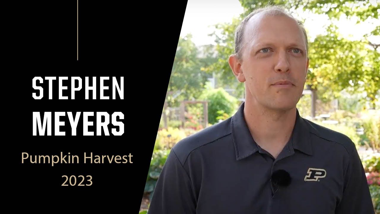 Purdue Expert: Pumpkin Harvest 2023