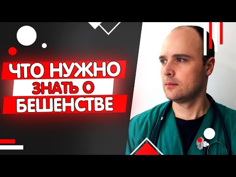 7 мифов о бешенстве