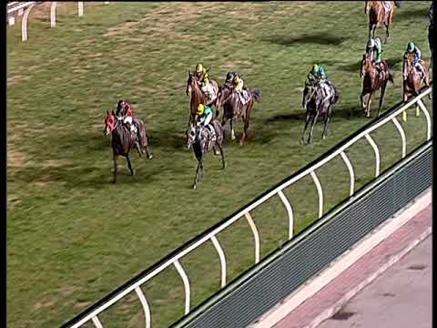 Galoppo 16/12/2018 - 7ª corsa