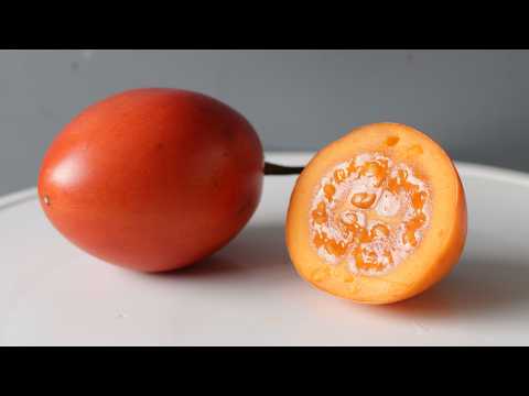 How to Eat Tamarillo aka the Tree Tomato and What it Tastes Like