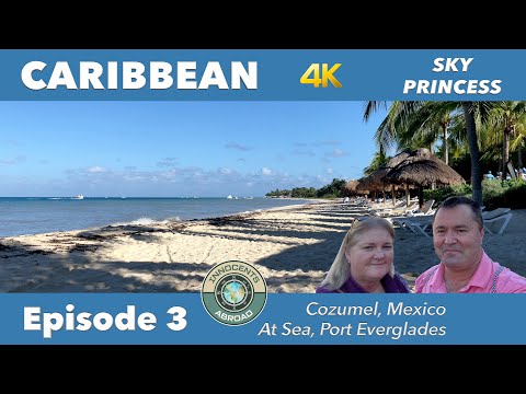 Princess Cruises | Caribbean Vlog Ep. 3 | Sky Princess