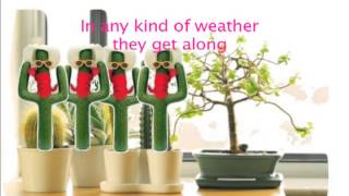 The Cactus Song by The Lads