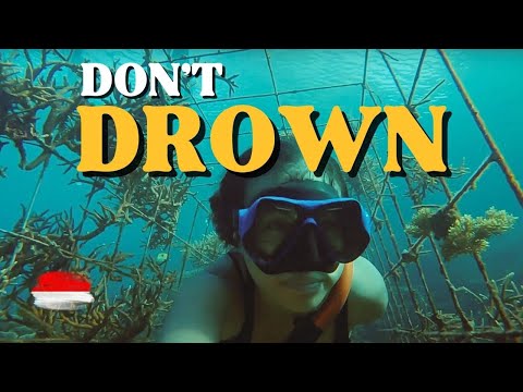 3 UNIQUE PLACES IN NORTH SULAWESI | Indonesia Vlog