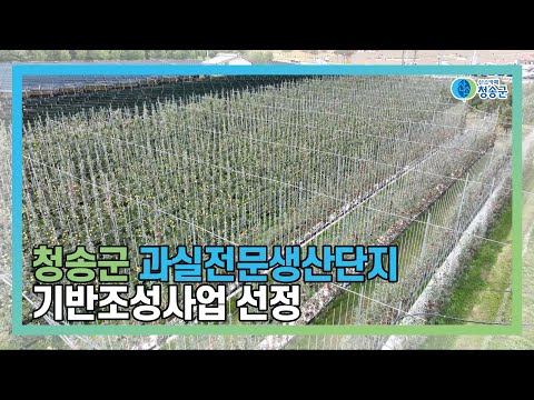[뉴스와이드 청송] 청송뉴스 11월 2주차
