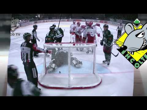 EHC Olten vs.  SC Rapperswil Jona Lakers 4:1