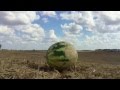 Watermelon Explosion