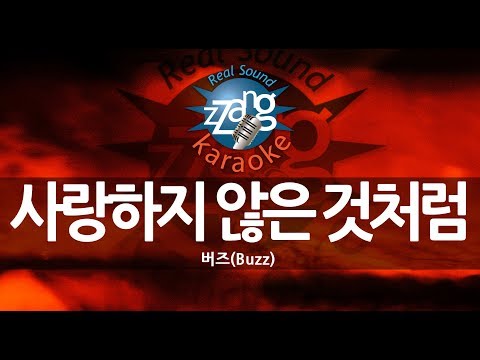Buzz - 사랑하지 않은 것처럼 (The Love) (Instrumental) (Karaoke Version)