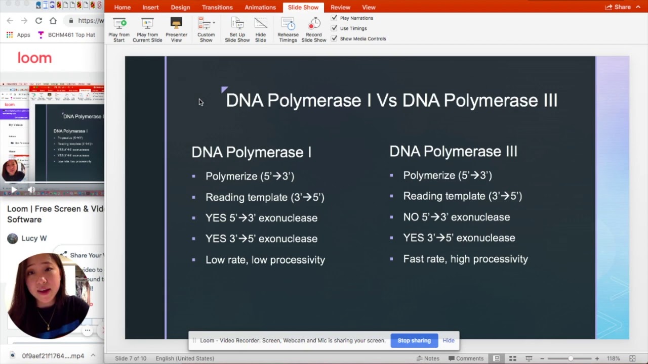 Exam 2: DNA Replication