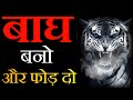 Tiger Attitude Motivation Best Motivational Video In Hindi Tiger Mentality Motivation In Hindi