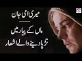 Maa Quotes In Urdu Beautiful Pottery About Mother Maa Shayari Emotional Quotes In Urdu