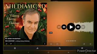 winter wonderland-NEIL DIAMOND