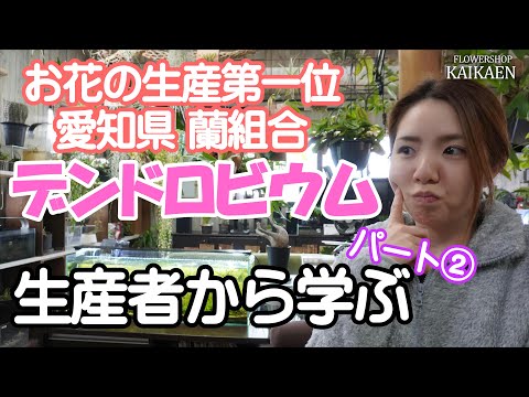  5 つの簡単なステップで蘭を正しく世話するにはどうすればよいですか?  庭園