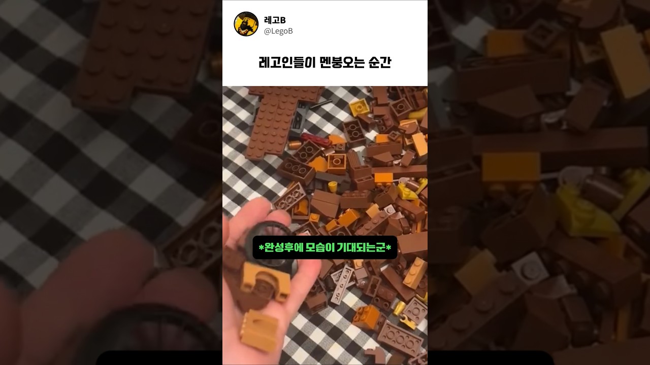 전세계 레고인들이 멘붕이 오는 순간 #레고