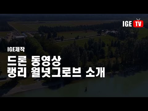 랭리 월넛그로브 소개