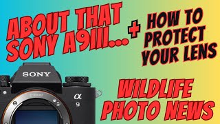 Wildlife Photo News - About that Sony A9III, Canon RF 200-800 Lens and How to Protect Your Lenses!