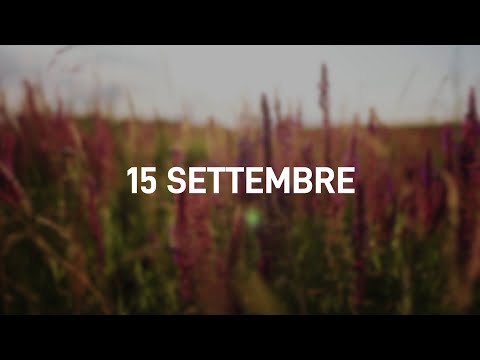 15 Settembre 2025 | Meditazione Parole di Vita