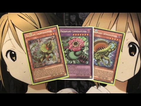 My Predaplant Yugioh Deck Profile for February 2017
