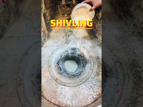 Shivling Gola Gokarannath Temple (Chhoti Kashi) Uttar Pradesh.