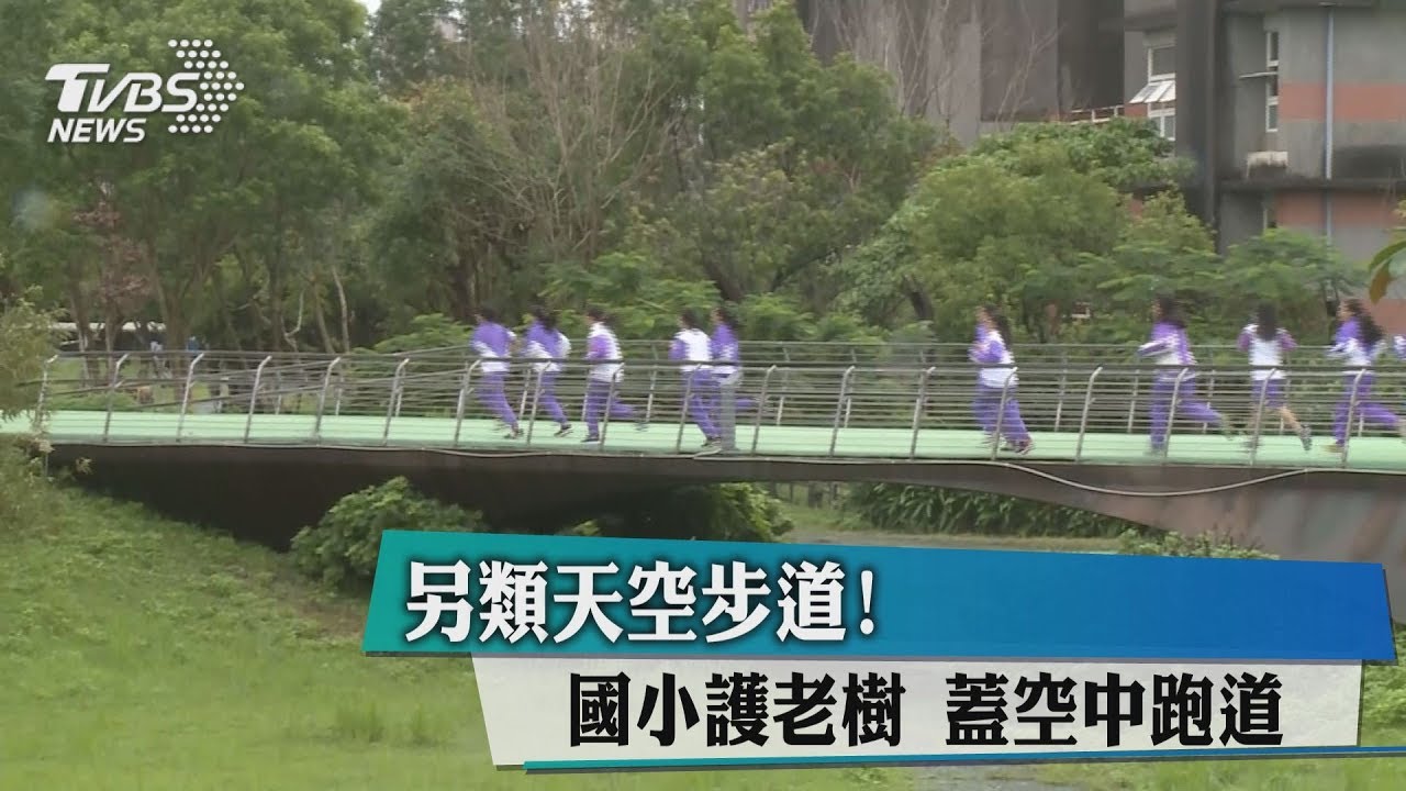 另類天空步道!國小護老樹 蓋空中跑道