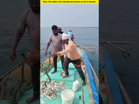 #truedialogue #facts