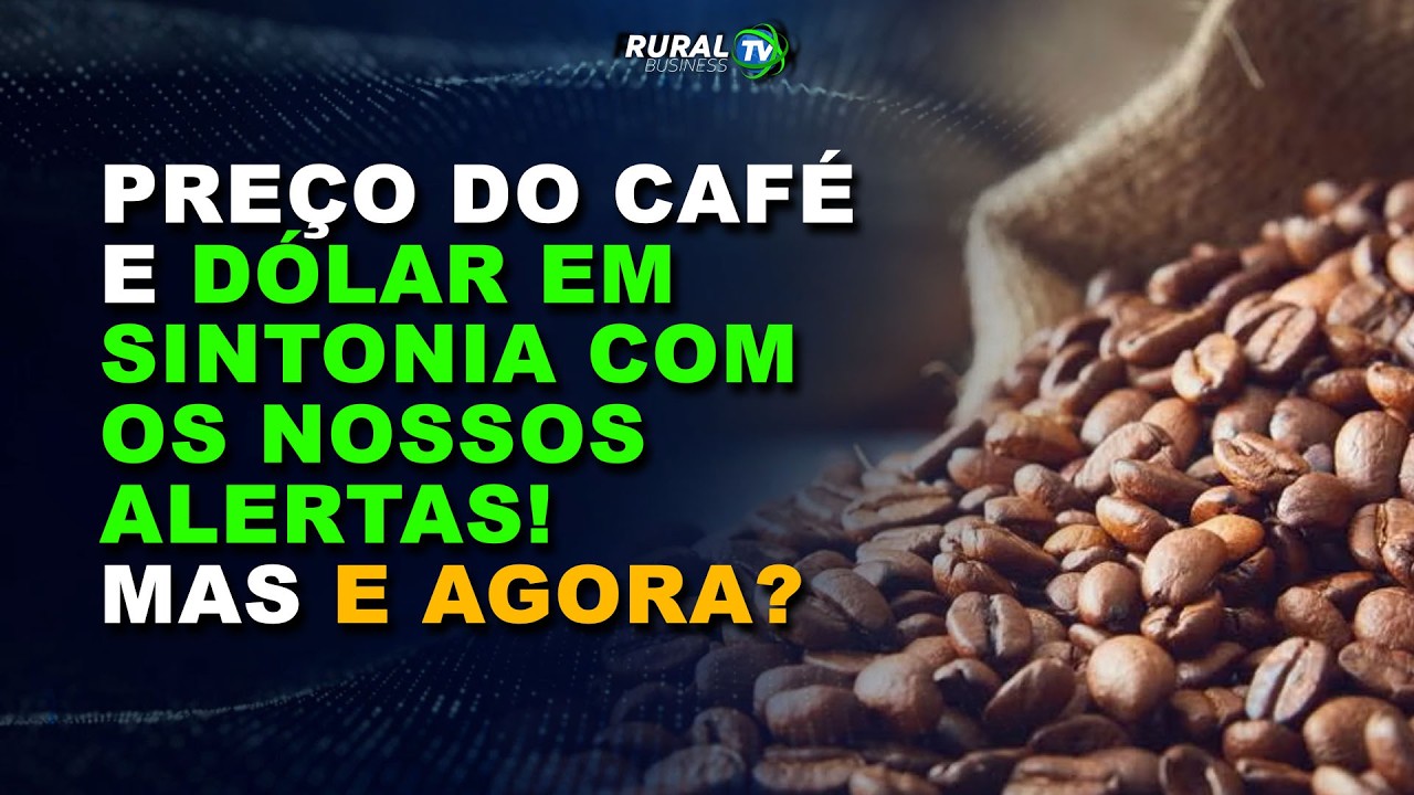 PREÇO DO CAFÉ E DÓLAR EM SINTONIA COM OS NOSSOS ALERTAS! MAS E AGORA?