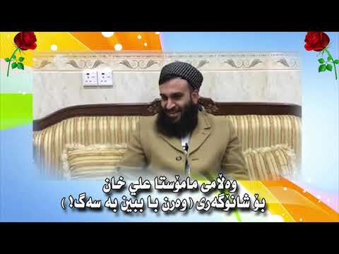 پوخته‌ی وەڵامی مامۆستا علی خان بۆ "شانۆی وه‌رن ببین به‌ سه‌گ ".