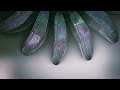 THX Amazing Life Avatar 2007 2010 Clear Version 1080p Without Surround Channels