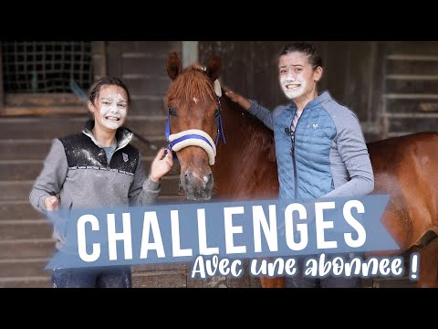 WE TRY TO TAKE UP YOUR EQUESTRIAN CHALLENGES 😱 (the last one isn't easy...)