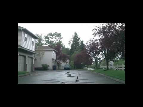 Kiley Court Townwhome and Condominium Virtual Tour Everett WA