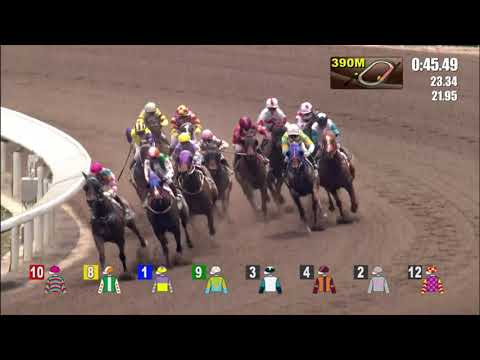 26/9/2021 (56) Elon - V Borges