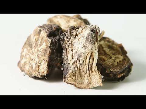 Ферула (омик)