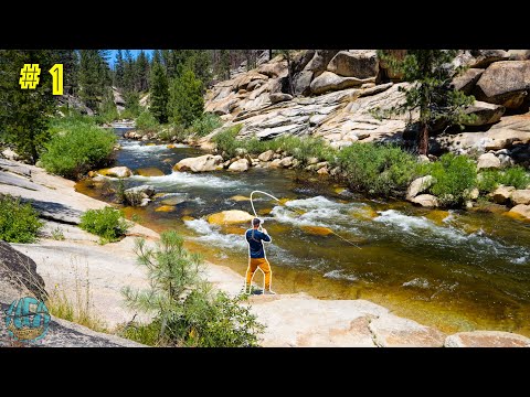 Fly Fishing California's Backcountry for Trout! || California Gold Pt 1 (Little Kern Golden Trout)