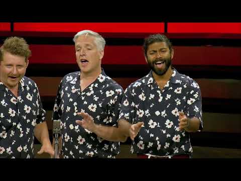 The Summertimers Harmony Band