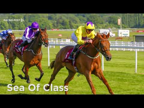 Investec Oaks: Sea Of Class & Give And Take