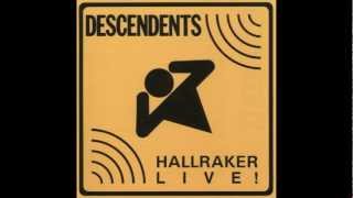 Descendents - Global Probing (Live)