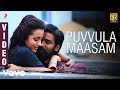 Puvvula Maasam Telugu Video Dhanush Trisha