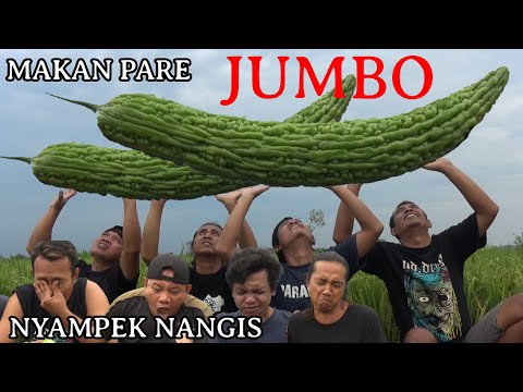 makan-pare-mentah-jumbo-nyampek-nangis-lucu-banget-bikin-ketawa-ngakak
