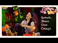 Quando Nasce Uma Criança DVD A Arca De Noé Crianças Diante Do Trono