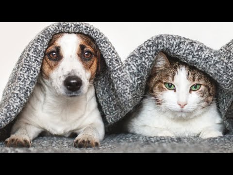 4K HDR Winter River - Snowy Forest Stream - Flowing Water & Snowfall - Sounds for Sleep & Relaxation