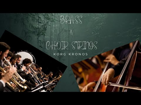 Korg Kronos Comb Brass & Choir Strings ( Sem Fala)