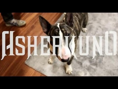 ASHER KUNO feat. TIZLE, RETRAZ & FREDDY FRED - V.I.P. PIù DI TE