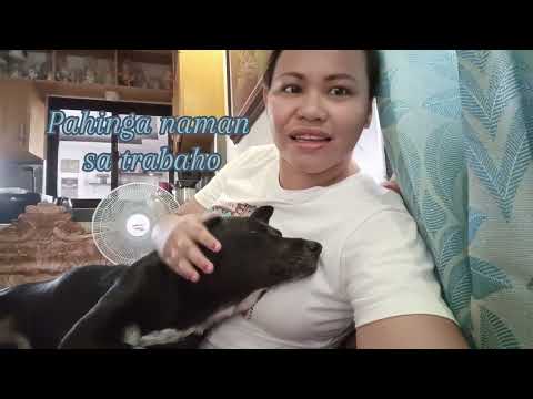 Batman son of shala🐾