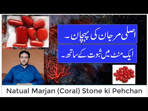 Original Marjan (Coral) Stone ki Pehchan II How to Identify Red Coral Gemstone II by Saeed Awan