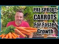 How to Grow Carrots! Best way to Pre sprout Carrot Seeds.